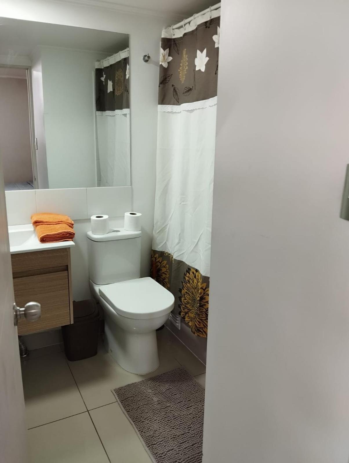 Apartamento Depto 1 Ambiente Metro Santa Ana Con Todo Lo Necesario